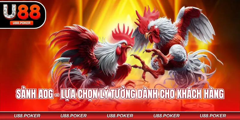 Đá Gà Cựa Sắt – Mãn Nhãn Với Các Cú Ra Đòn Đỉnh Cao Sảnh AOG - Lựa chọn lý tưởng dành cho khách hàng